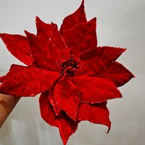 6 Red Christmas flowers